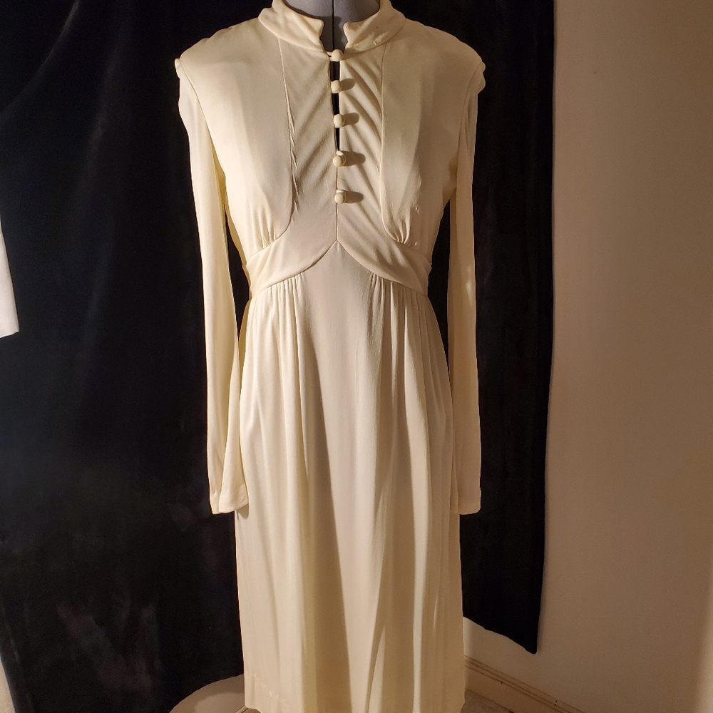 Vintage Edwardian long sleeve classy dress